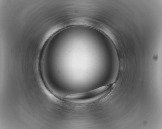 X0000091911139200709051413