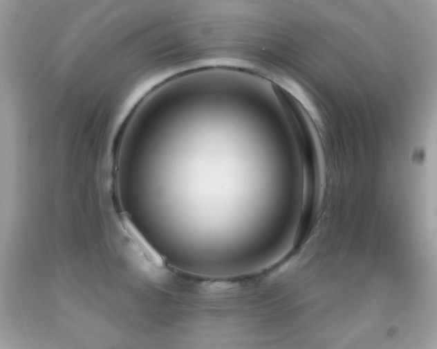 X0000091911140200709051413