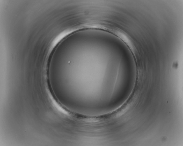X0000091911141200709051413