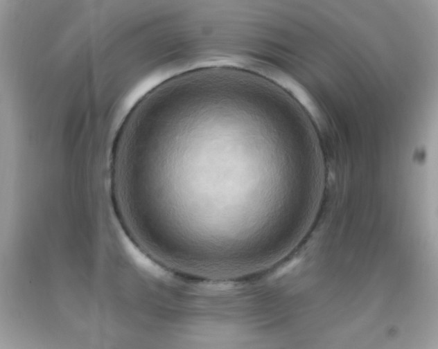 X0000091911143200709051413