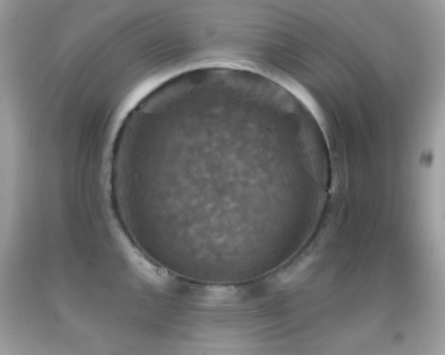 X0000091911144200709051413