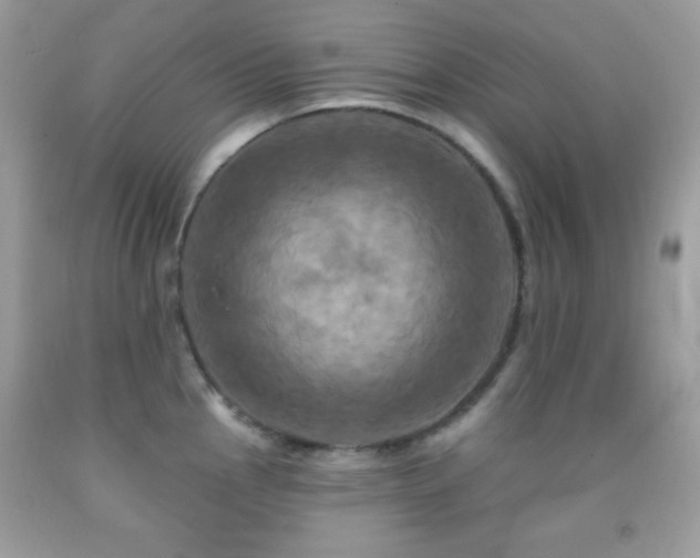 X0000091911145200709051413