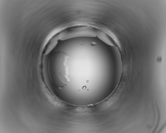 X0000091911146200709051413