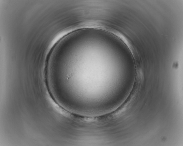 X0000091911147200709051413
