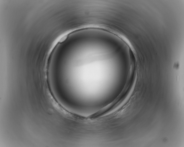 X0000091911148200709051413