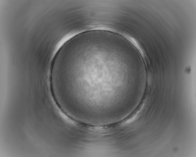 X0000091911149200709051413