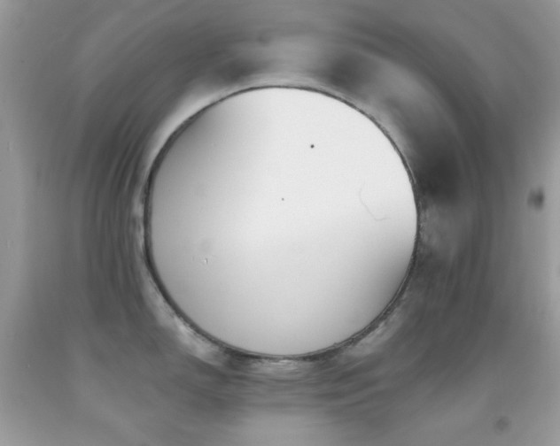 X0000091911150200709051413