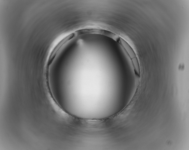 X0000091911152200709051413