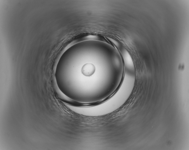 X0000091911153200709051412