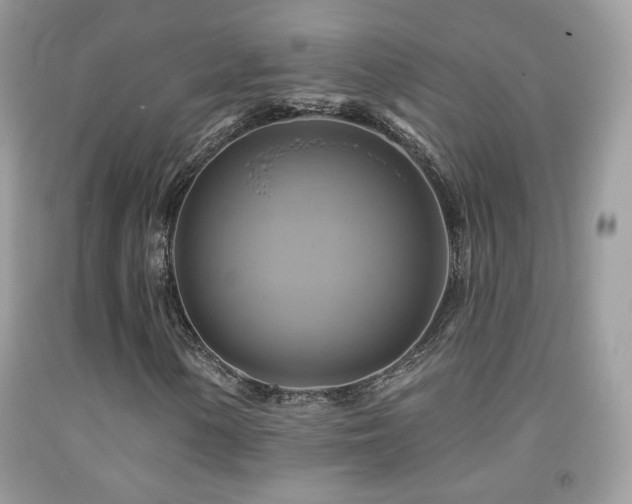 X0000091911154200709051412