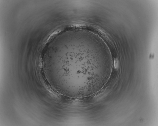 X0000091911155200709051412