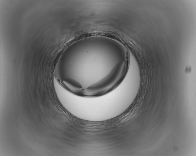 X0000091911156200709051412