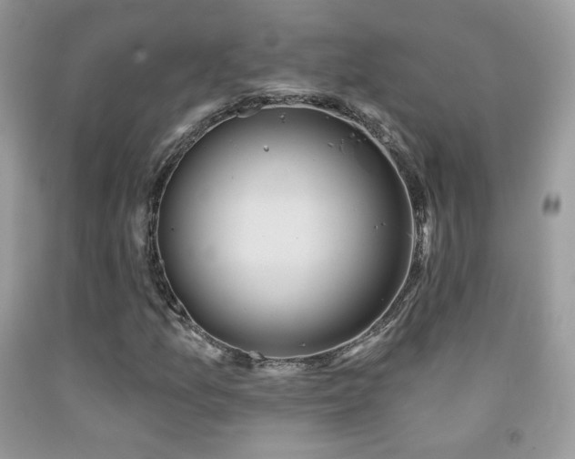 X0000091911157200709051412