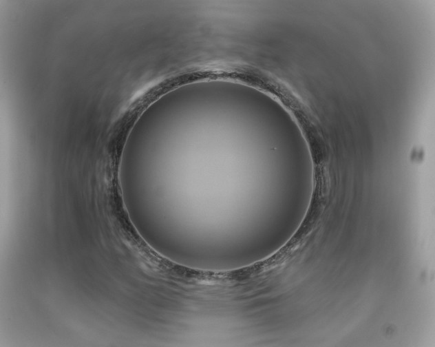 X0000091911158200709051412