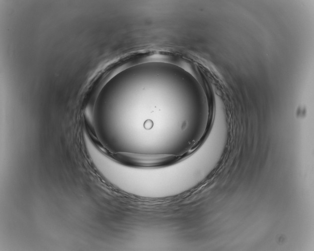 X0000091911160200709051412
