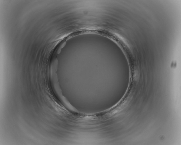 X0000091911161200709051412