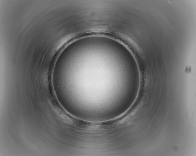 X0000091911162200709051412