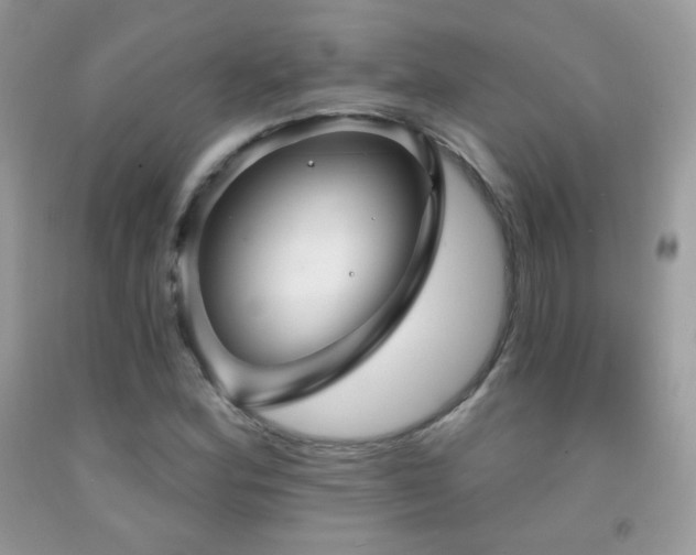 X0000091911164200709051412