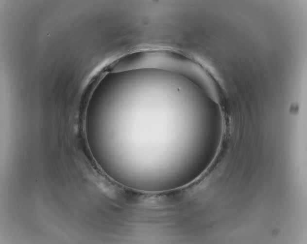 X0000091911165200709051412