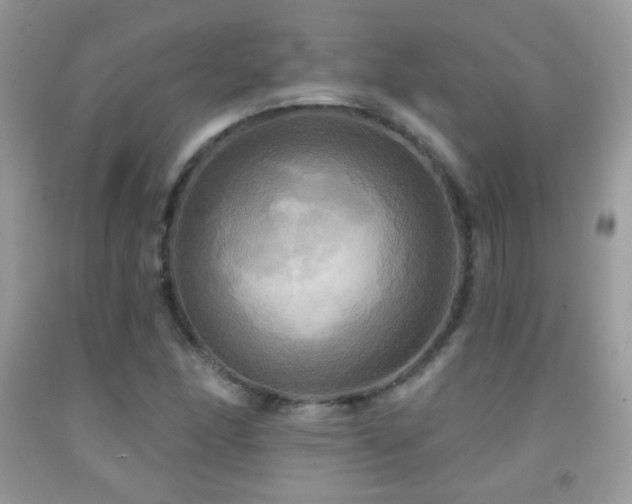 X0000091911166200709051412