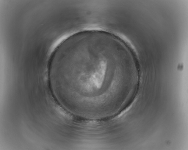X0000091911167200709051412