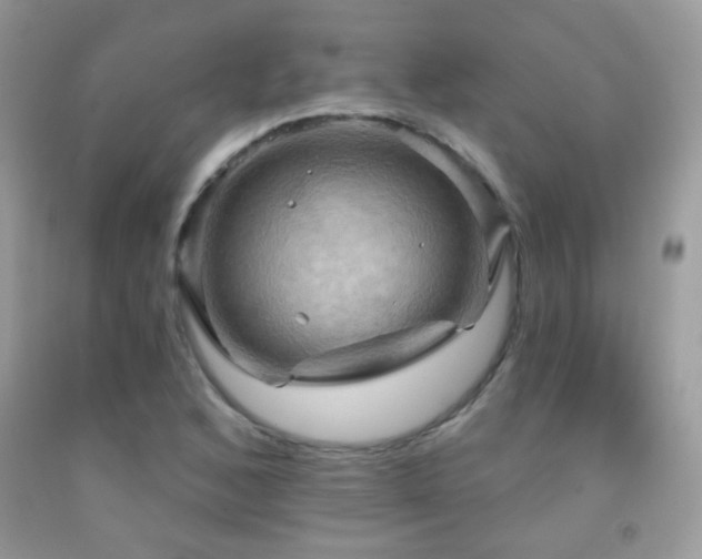 X0000091911168200709051412