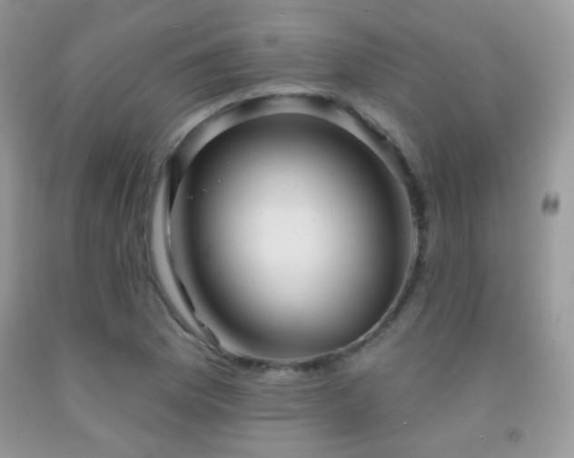 X0000091911169200709051412