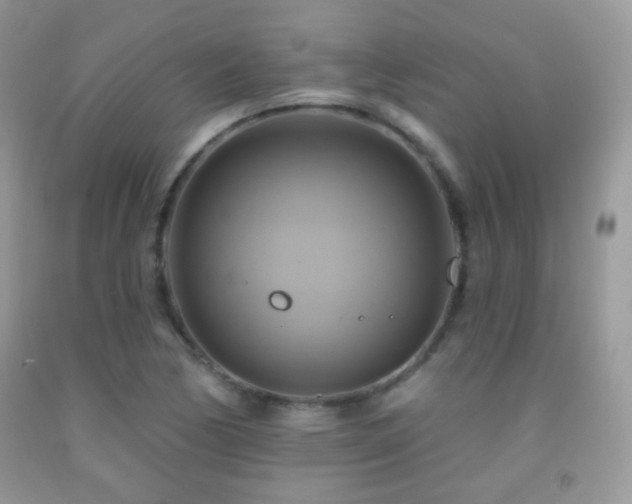 X0000091911170200709051412