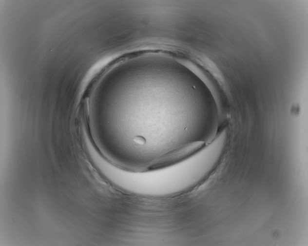 X0000091911172200709051412