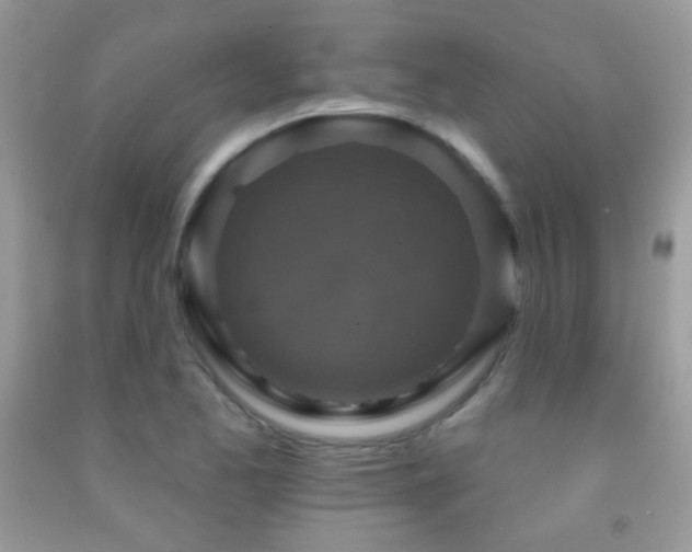 X0000091911173200709051412