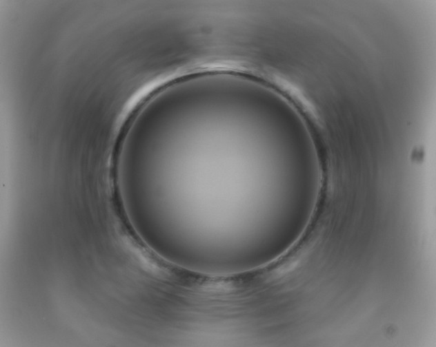 X0000091911174200709051412