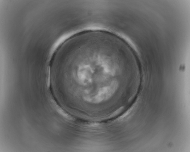 X0000091911175200709051412