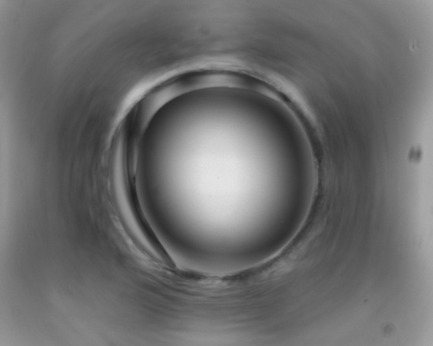 X0000091911176200709051412