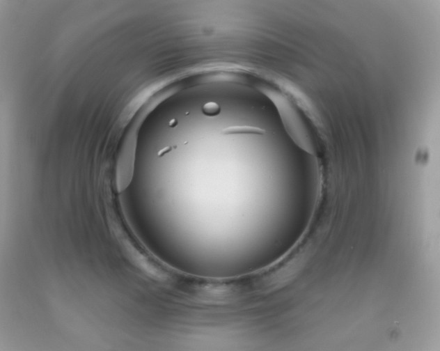 X0000091911177200709051412