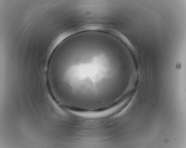 X0000091911178200709051412