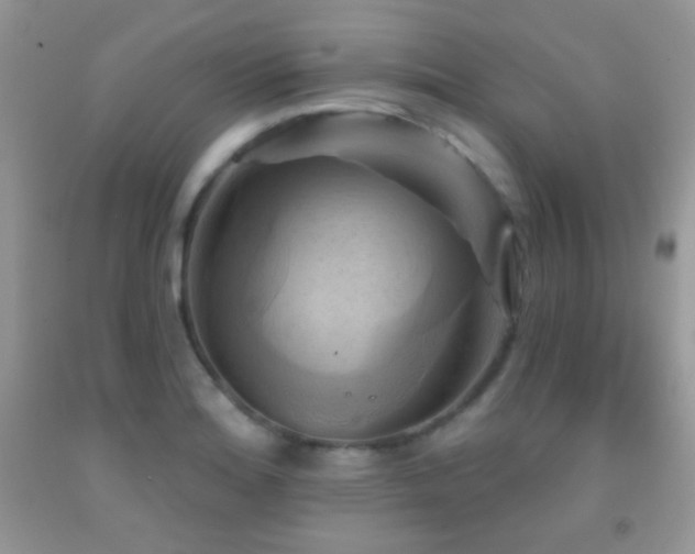 X0000091911180200709051412