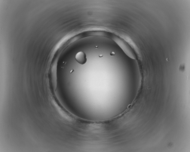 X0000091911181200709051412