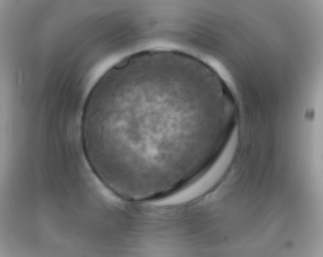 X0000091911183200709051412