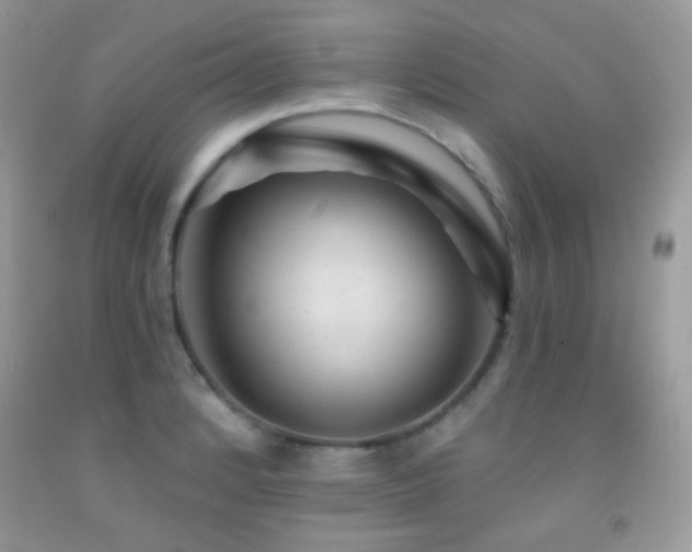 X0000091911184200709051412