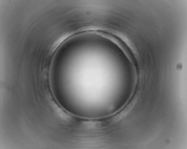 X0000091911185200709051412