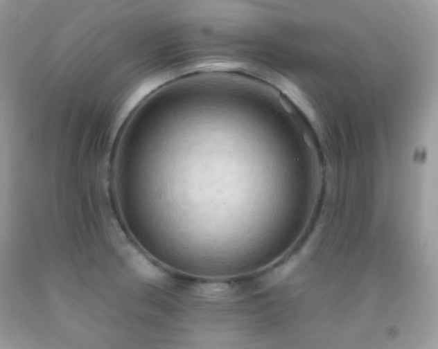 X0000091911186200709051412