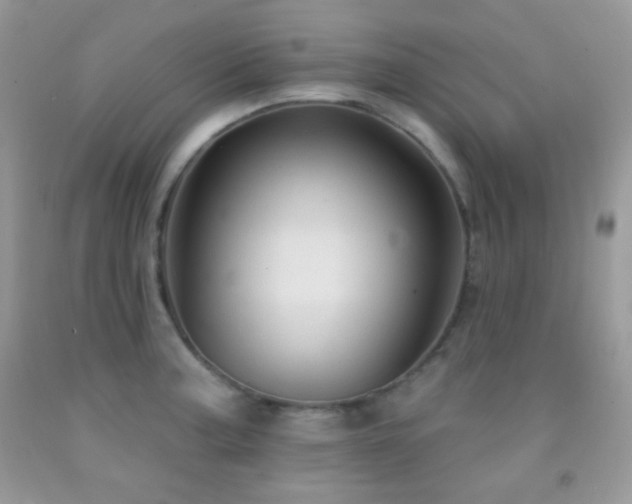 X0000091911187200709051412