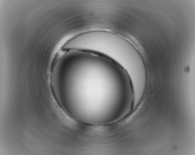 X0000091911188200709051412