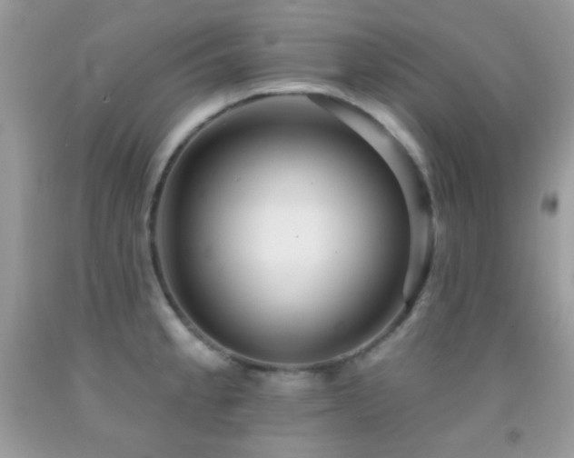 X0000091911189200709051412