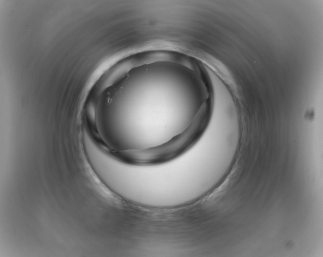 X0000091911192200709051412