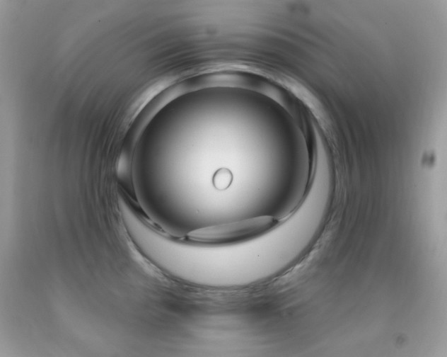 X0000091911193200709051412
