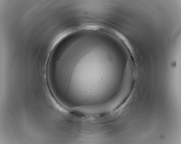 X0000091911194200709051412