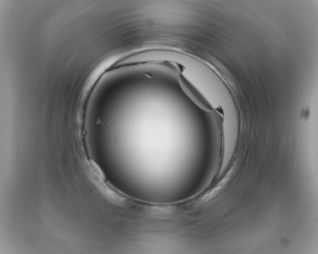 X0000091911196200709051412