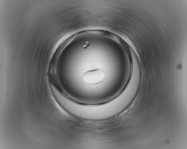 X0000091911197200709051412