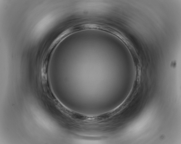 X0000091911198200709051412